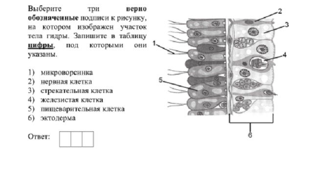 Кракен дарк площадка