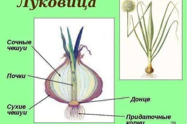 Kraken market ссылка
